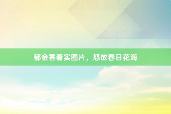 郁金香着实图片，怒放春日花海