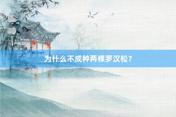 为什么不成种两棵罗汉松？