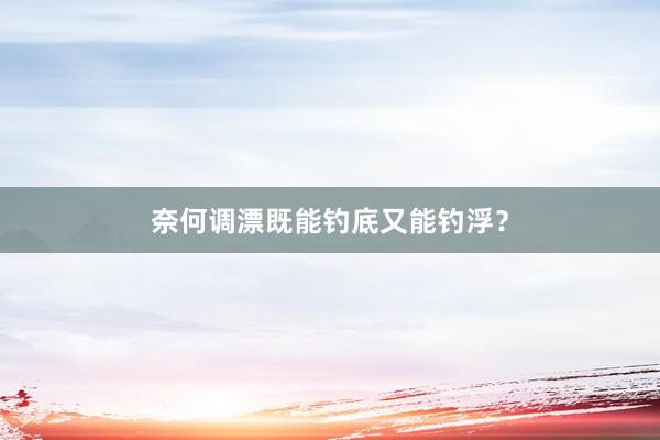 奈何调漂既能钓底又能钓浮？