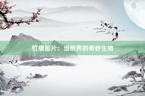 钉螺图片：当然界的奇妙生物